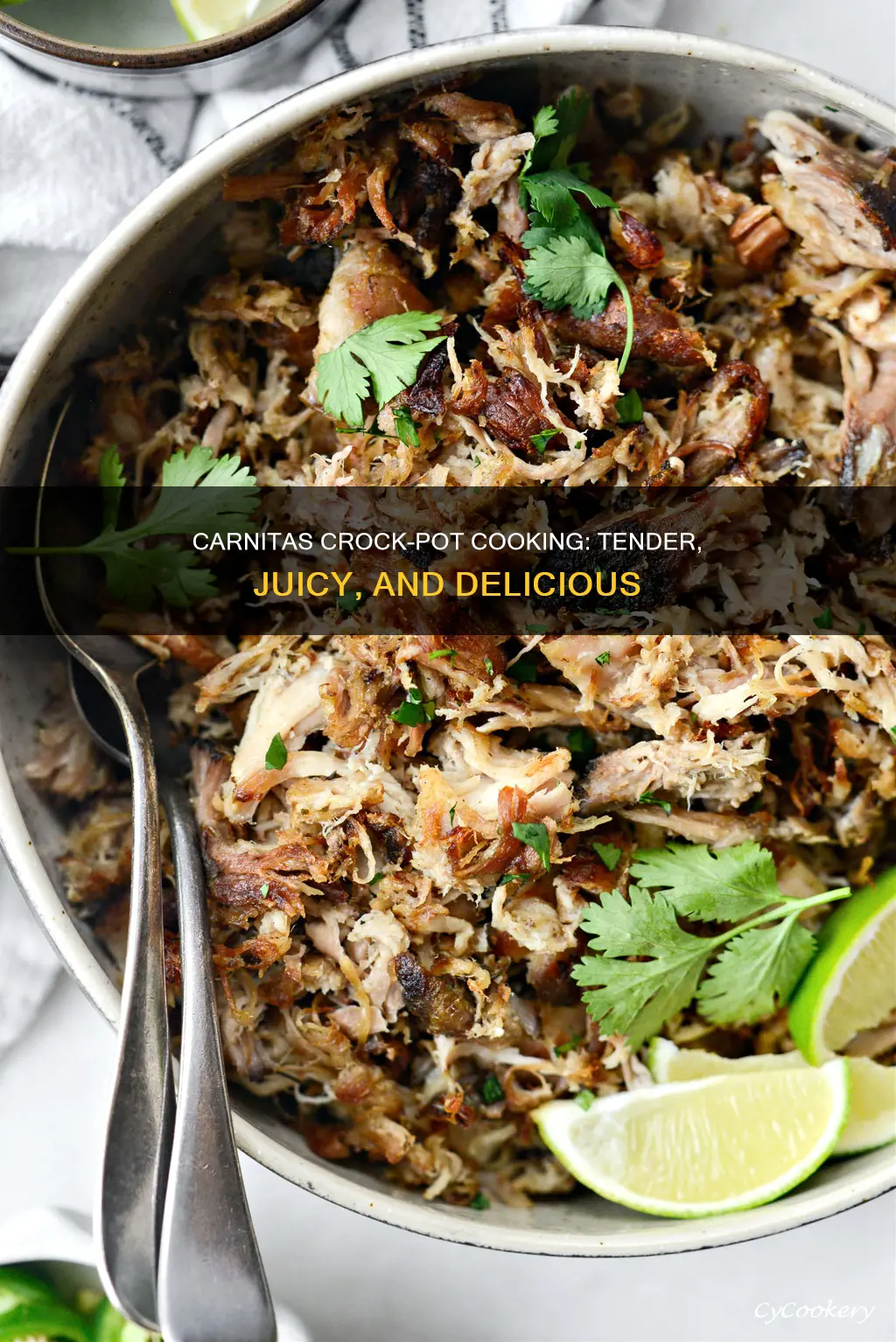 how to cook carnitas in a crock pot