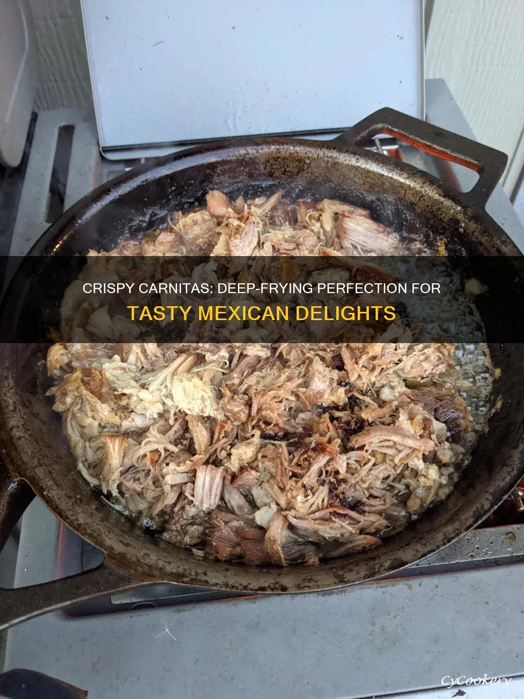 how to cook carnitas in a deep fryer