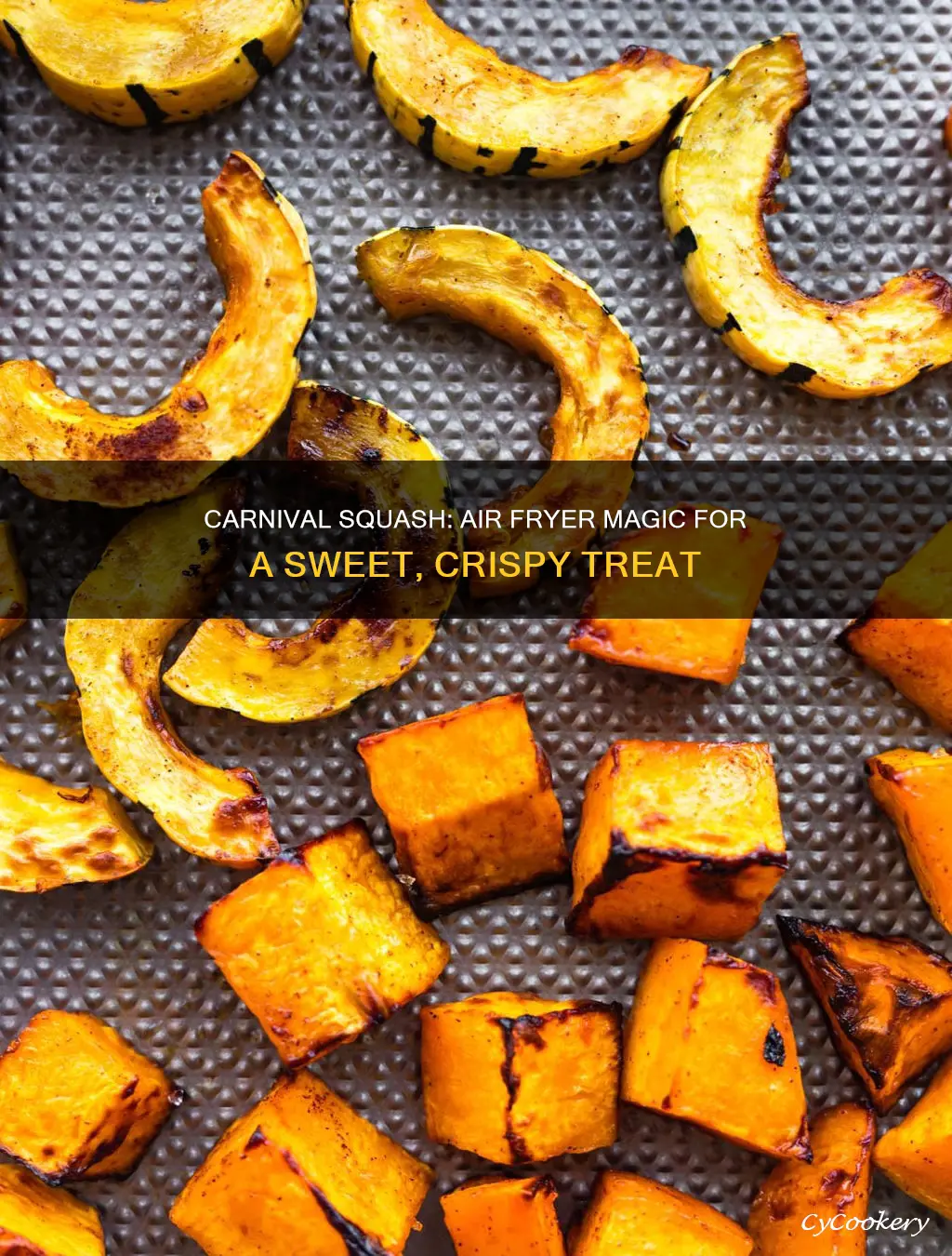 how to cook carnival squash in air fryer