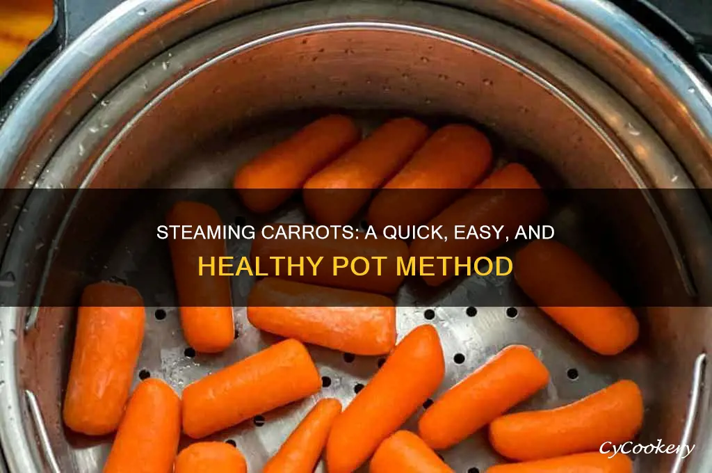 how to cook carrots in a pot