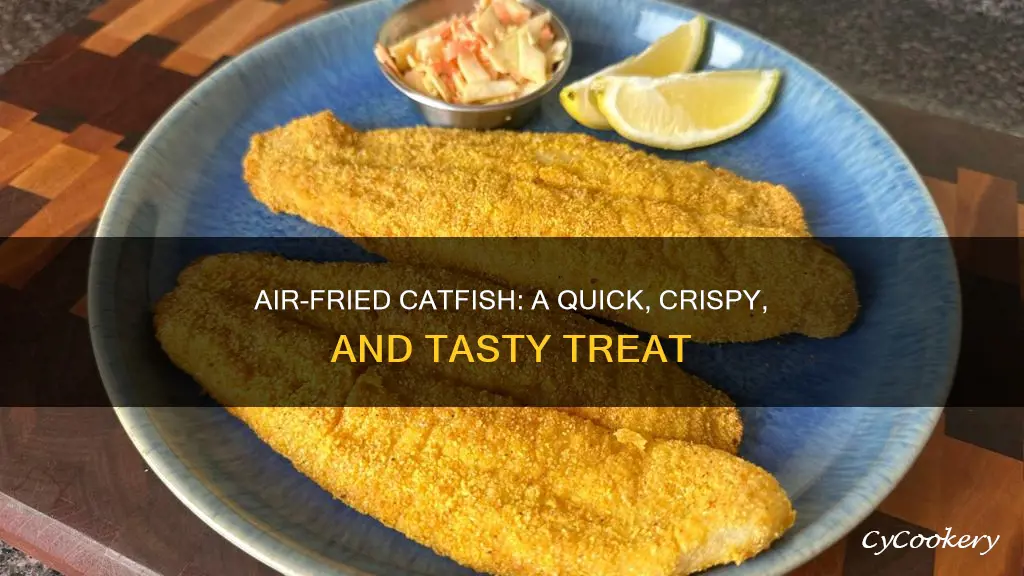 how to cook catfish in ar fryer
