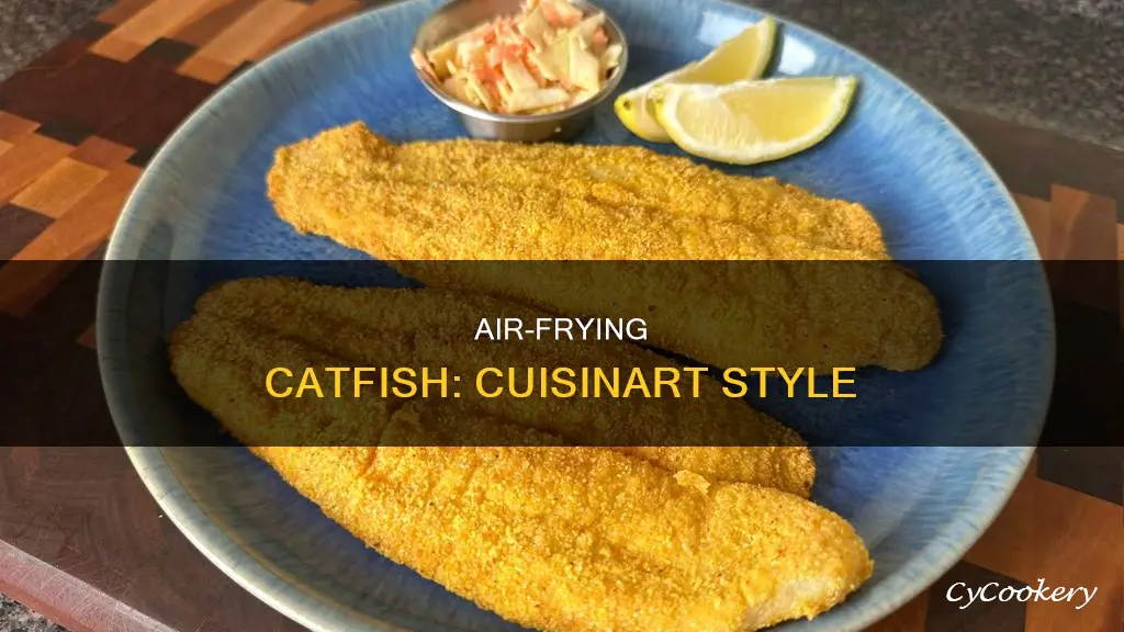 how to cook catfish in the cuisinart air fryer