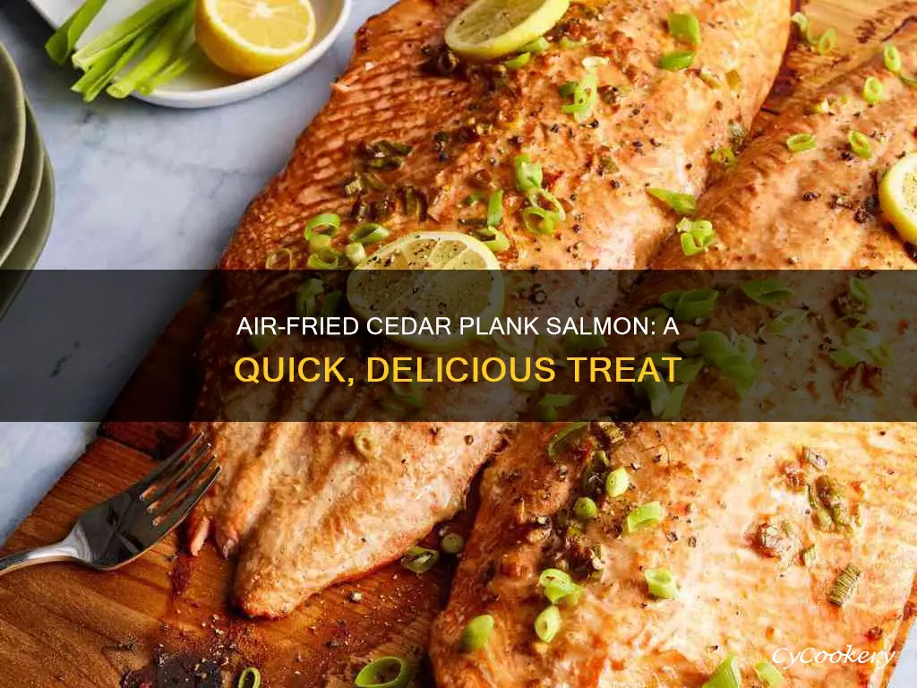 how to cook cedar plank salmon in air fryer