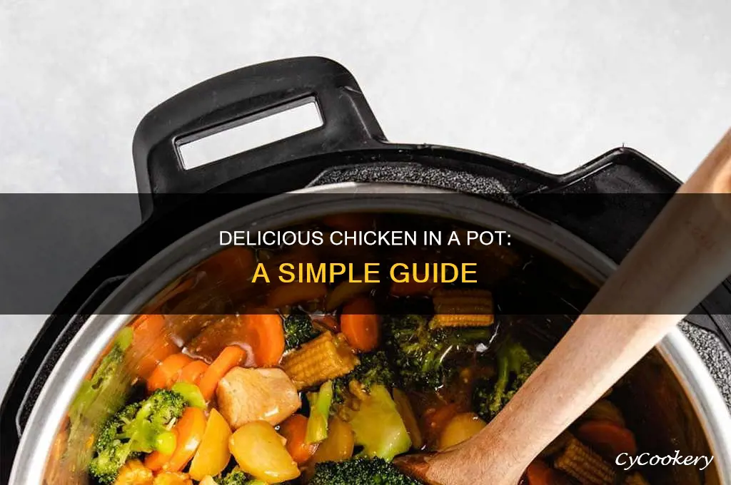 how to cook chicken a pot