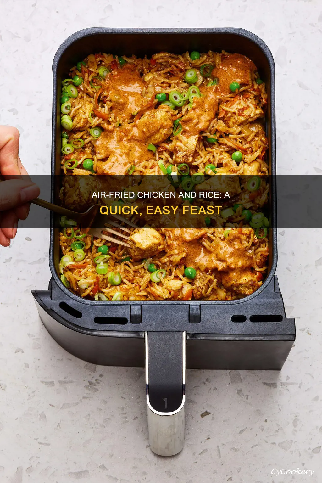 how to cook chicken and rice in air fryer