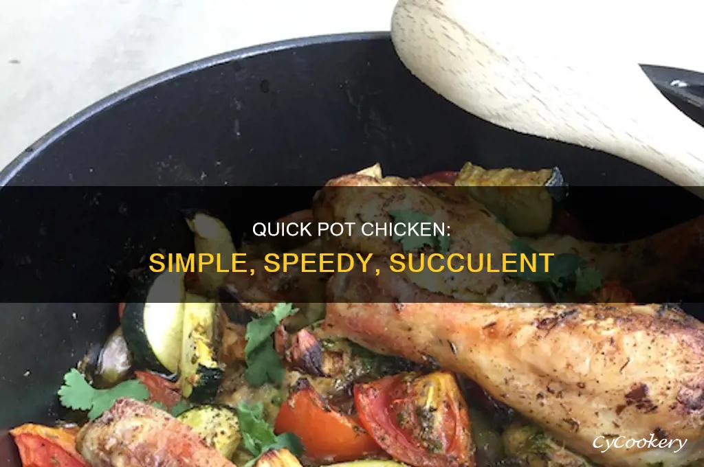 how to cook chicken breast in a power quick pot
