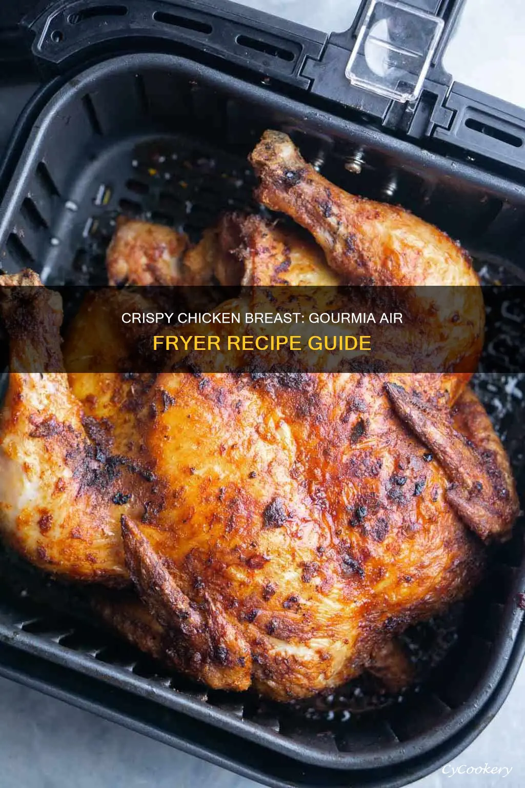 how to cook chicken breast in gourmia air fryer