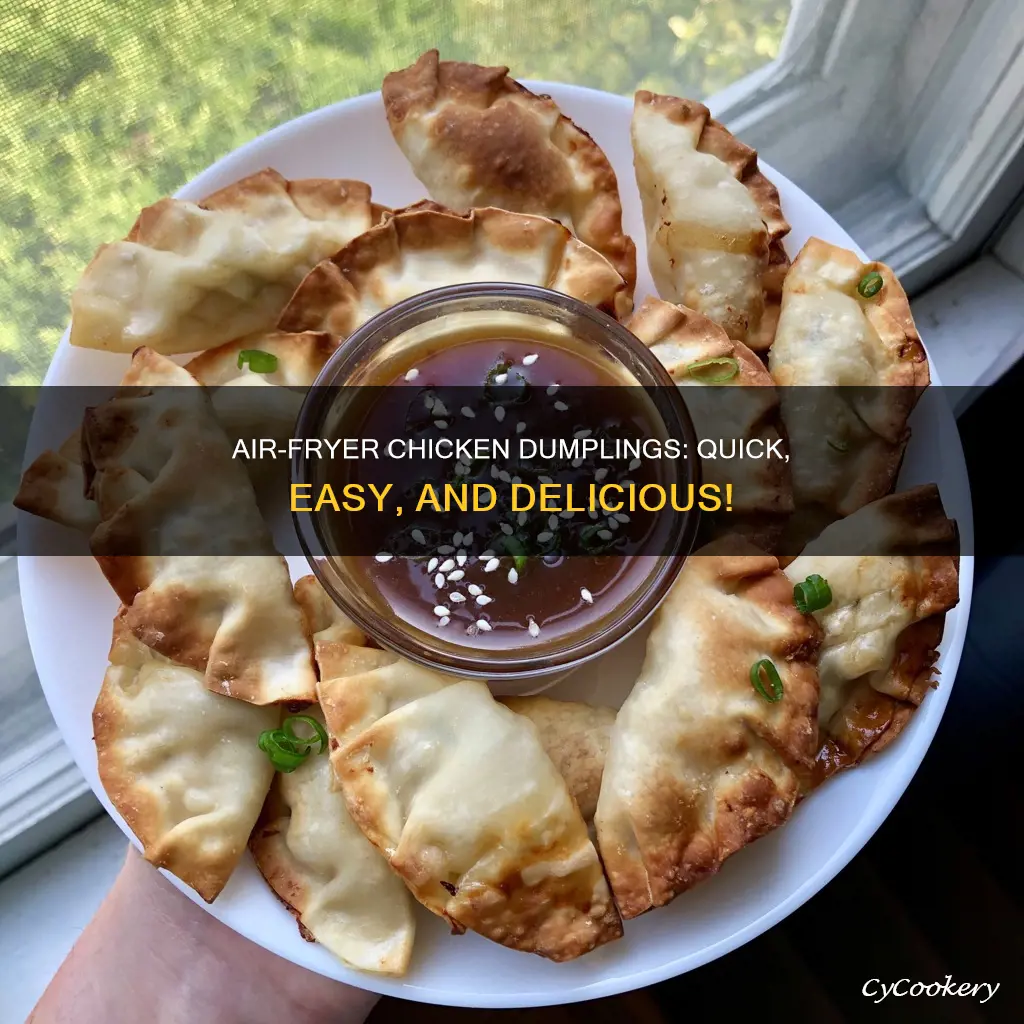 how to cook chicken dumplings in air fryer