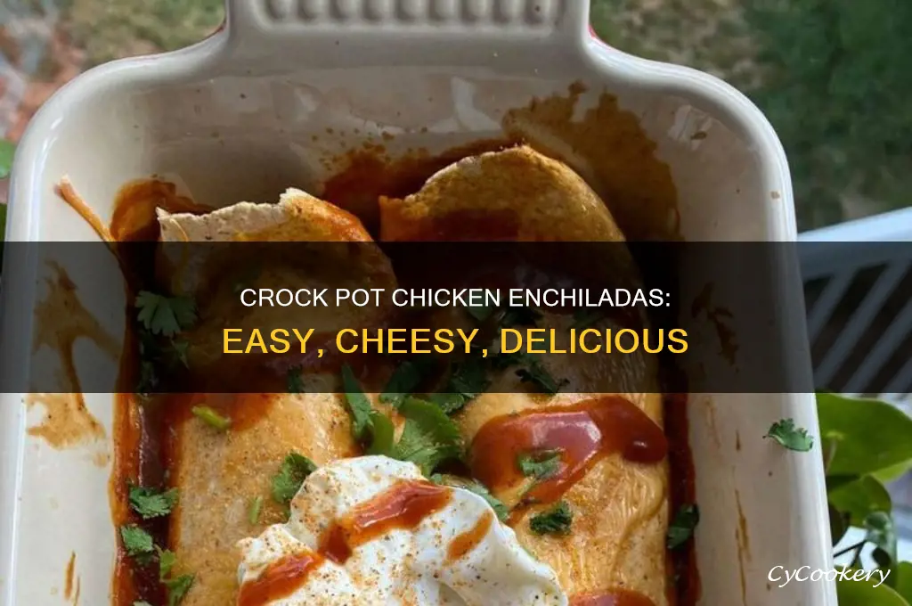 how to cook chicken enchiladas in a crock pot
