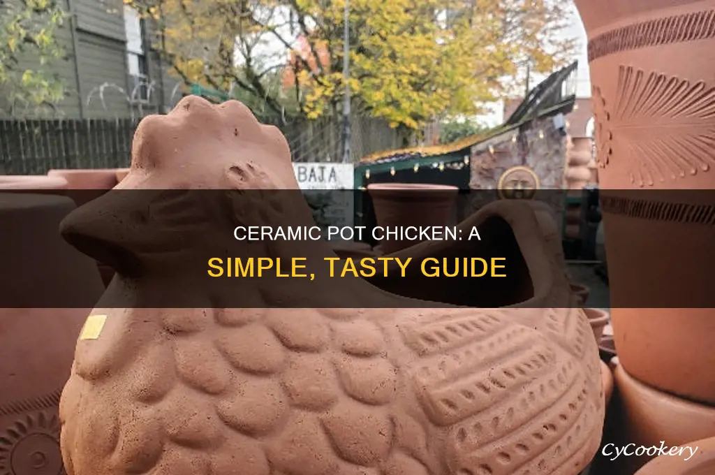 how to cook chicken in a ceramic pot