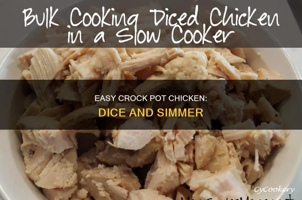 how to cook chicken in a crock pot diced