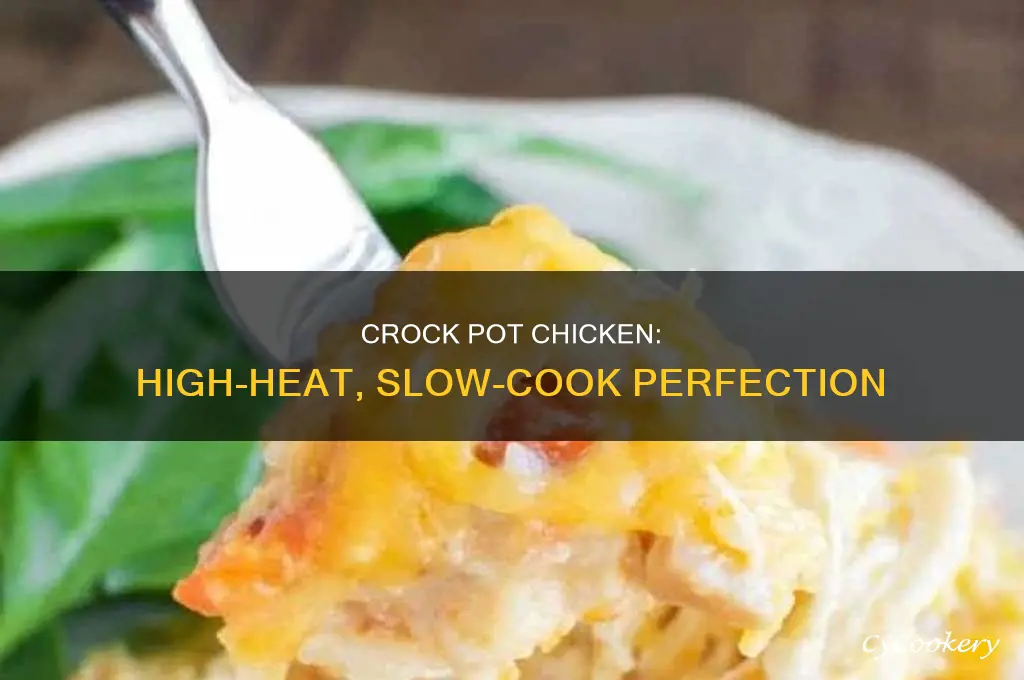 how to cook chicken in a crock pot on high