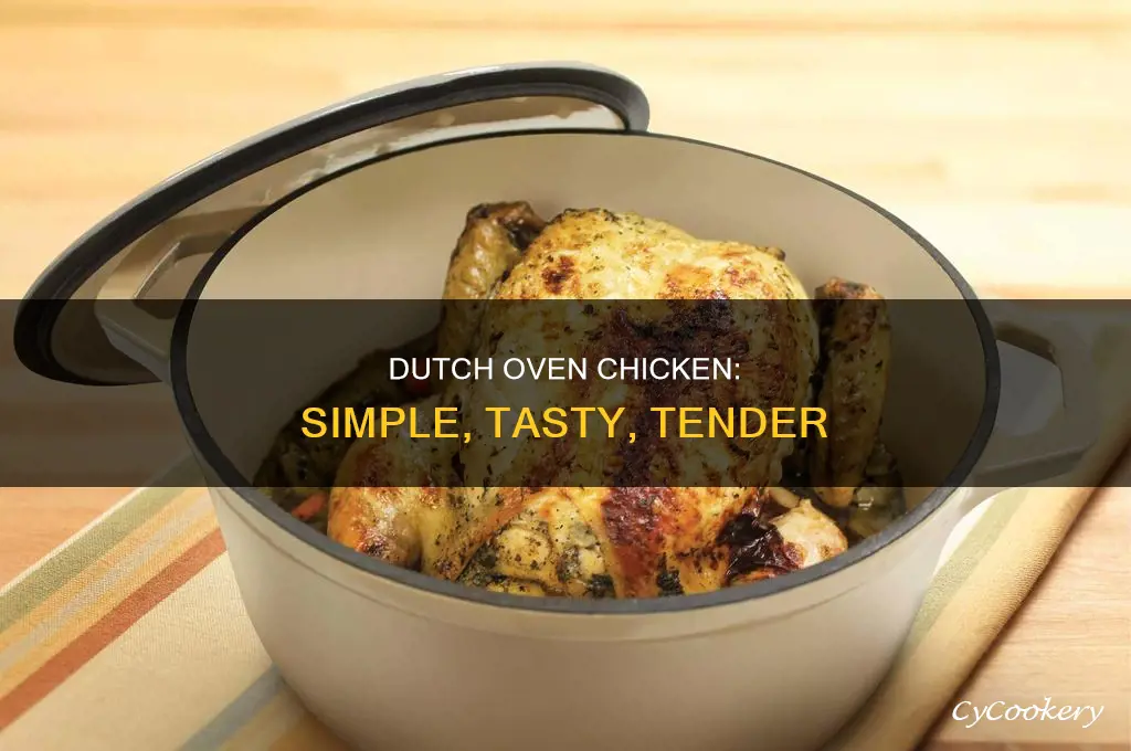 how to cook chicken in a dutch oven pot