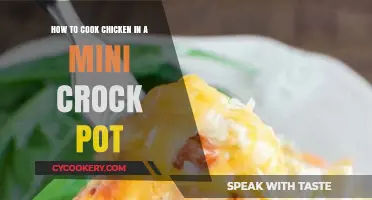 Crock-Pot Chicken: Easy, Quick, and Delicious!