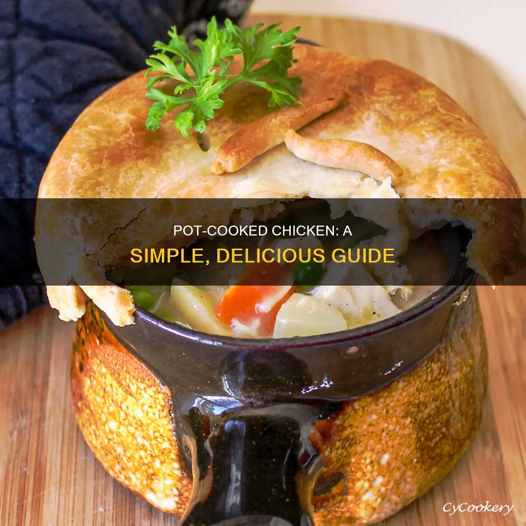 how to cook chicken in a pot