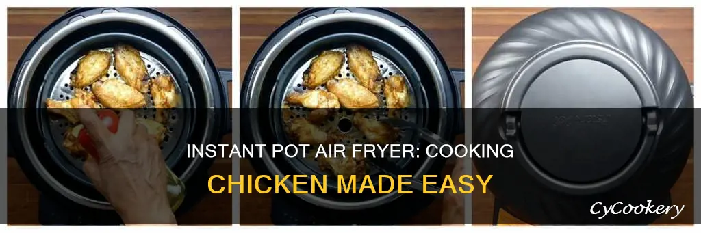 how to cook chicken in an instant pot air fryer