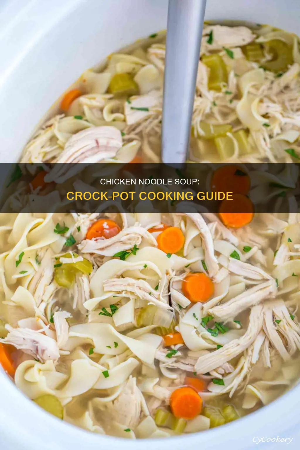 how to cook chicken noodle soup in a crock pot