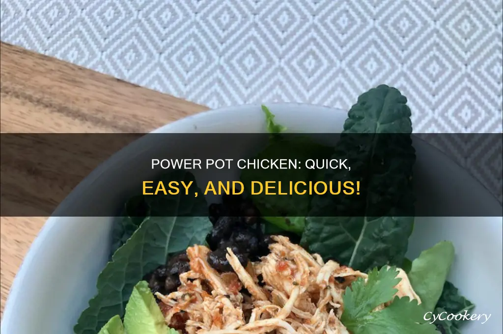 how to cook chicken pieces in a power pot