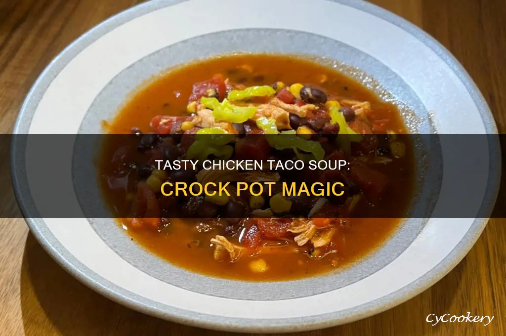 how to cook chicken taco soup in the crock pot