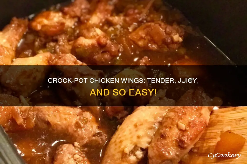 how to cook chicken wing in a crock pot