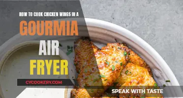 Air Fryer Chicken Wings: Cooking with Gourmia