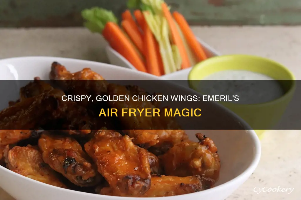 how to cook chicken wings in emeril lagasse air fryer