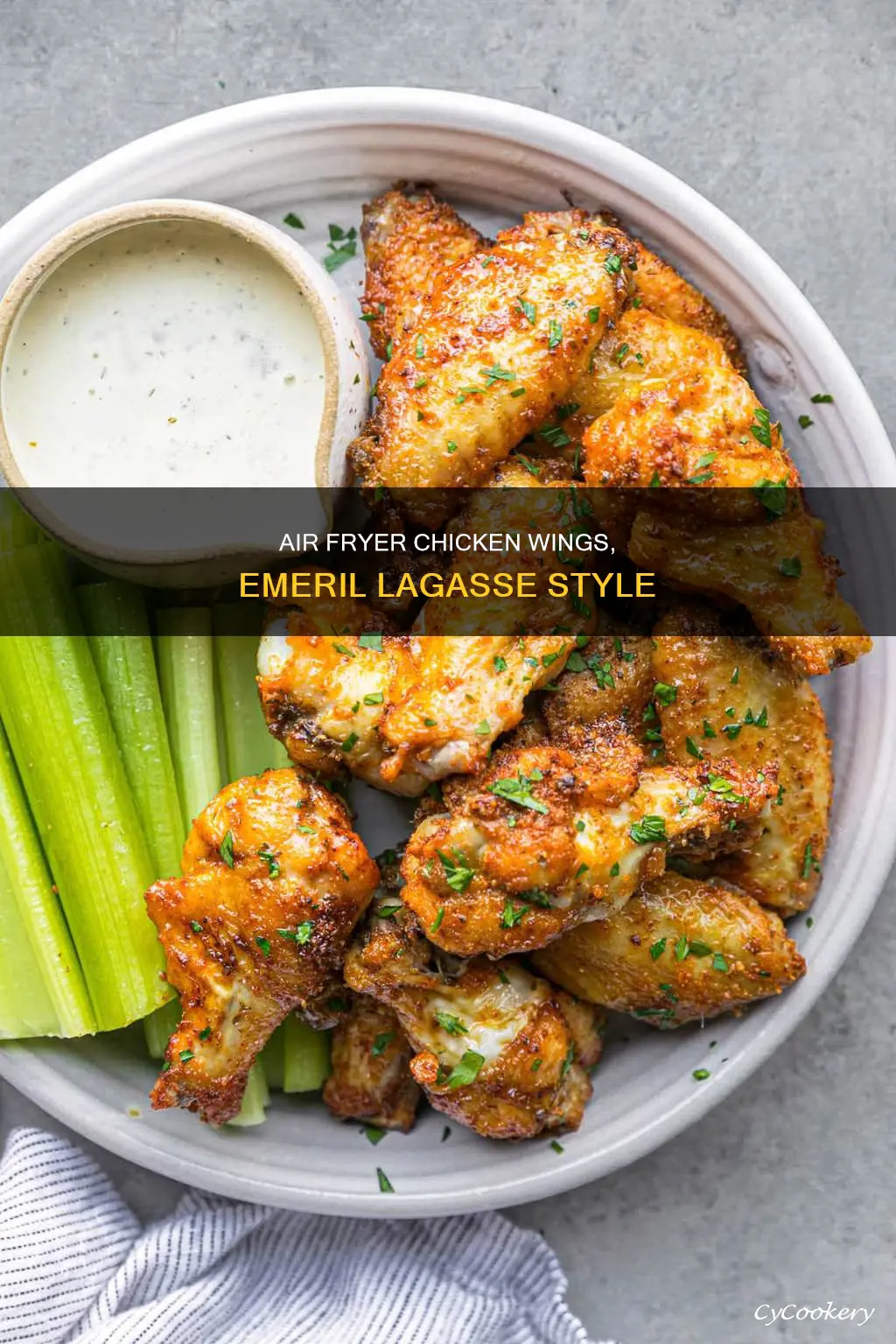 how to cook chicken wings in emeril lagasse air fryer