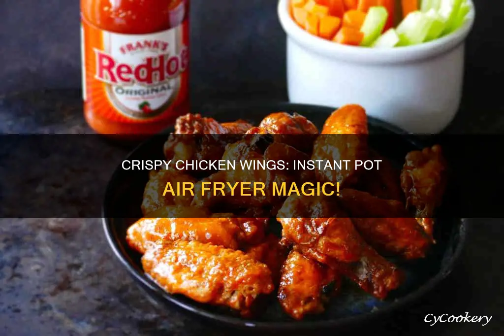 how to cook chicken wings in instant pot air fryer