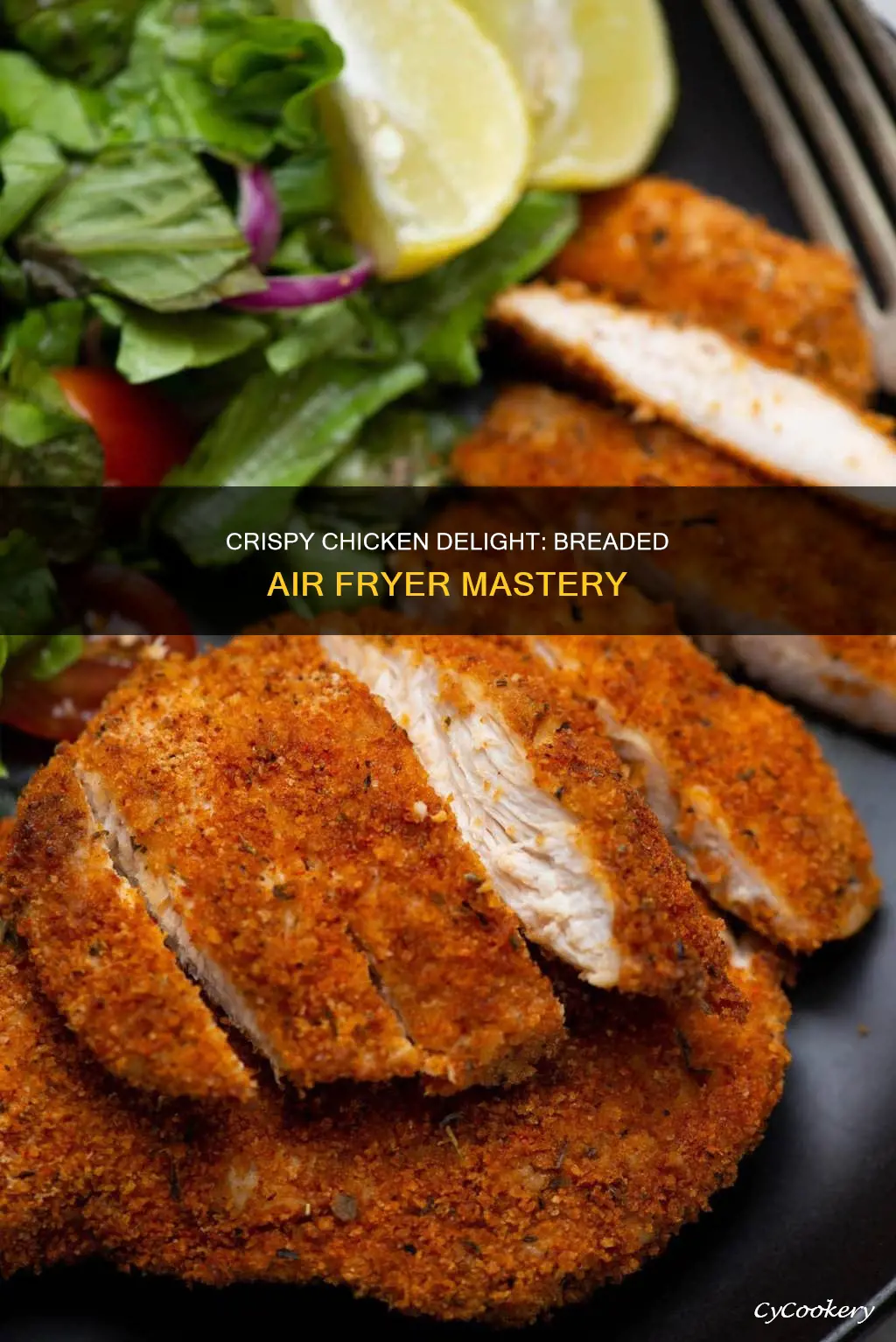 how to cook chicken with bread crumbs in air fryer