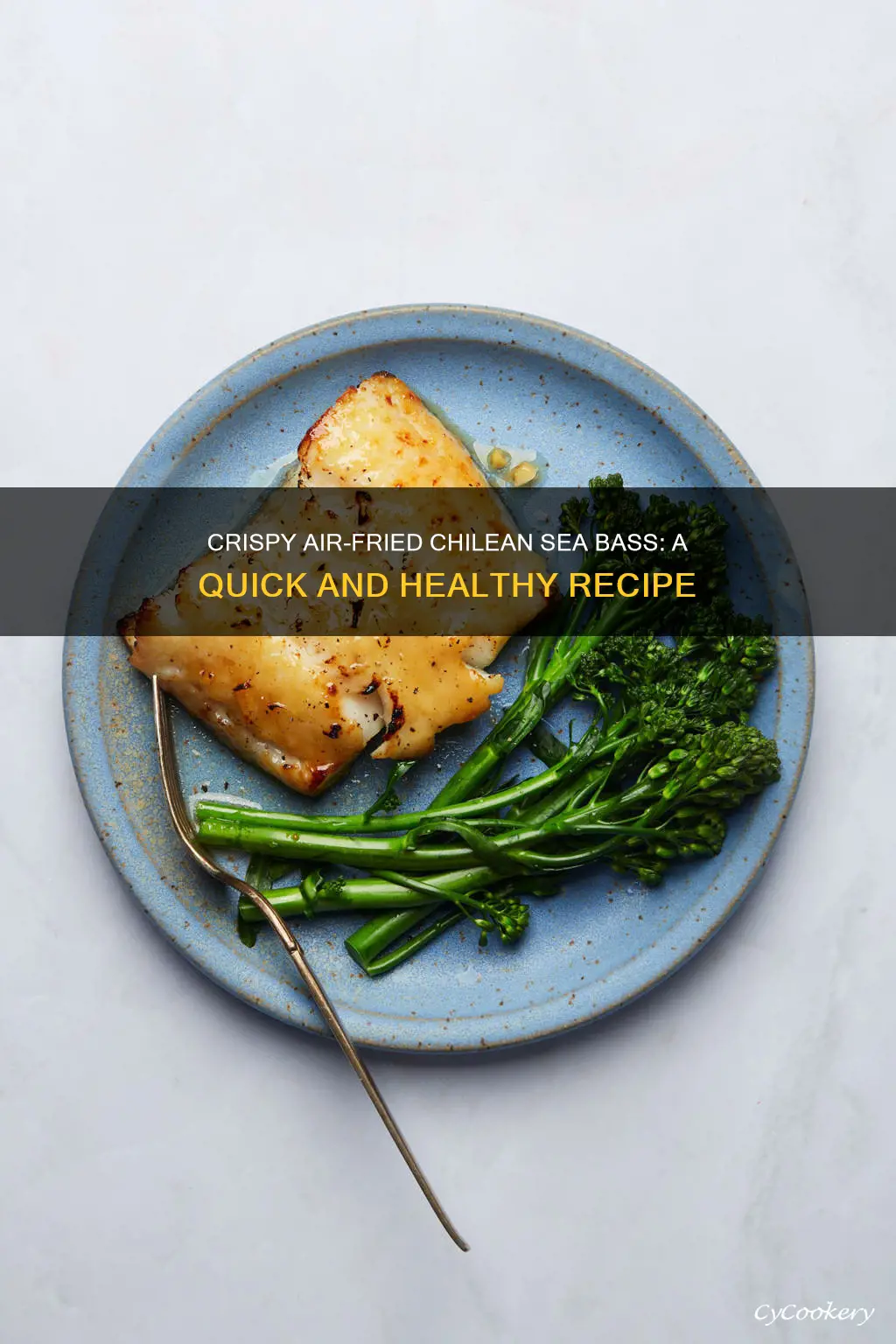 how to cook chilean sea bass in an air fryer