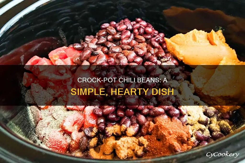 how to cook chili beans in a crock pot