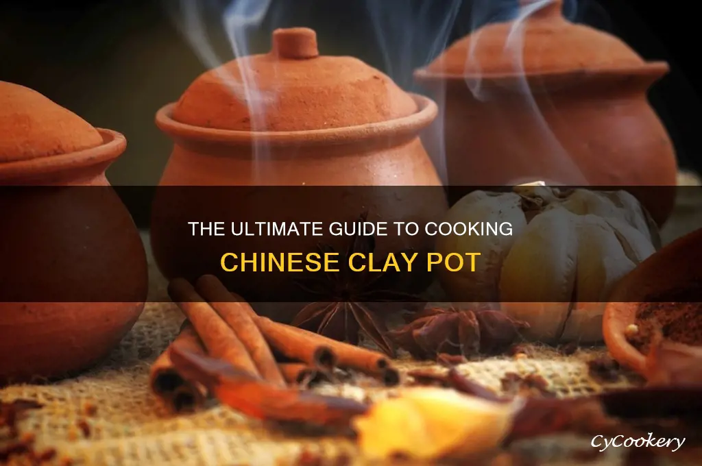 how to cook chinese clay pot