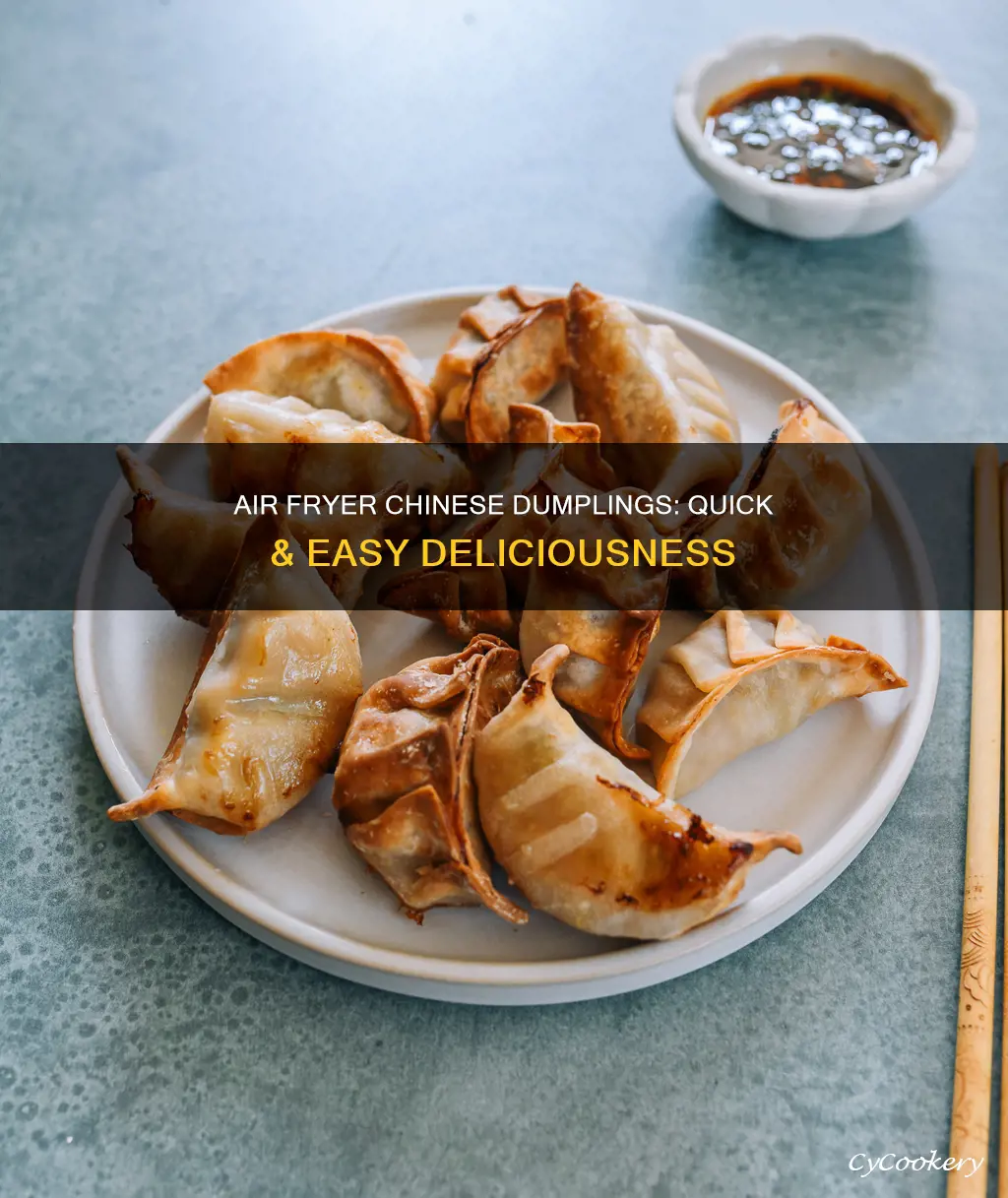 how to cook chinese dumplings in an air fryer