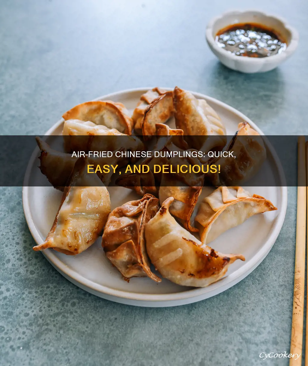 how to cook chinese dumplings in an air fryer