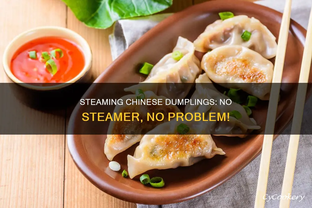 how to cook chinese dumplings without a steamer