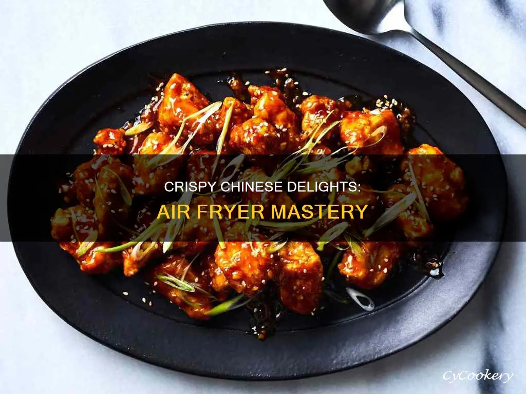 how to cook chinese food in air fryer