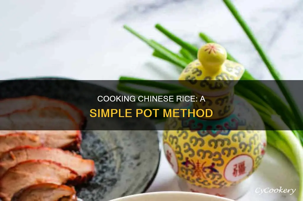how to cook chinese rice in a pot
