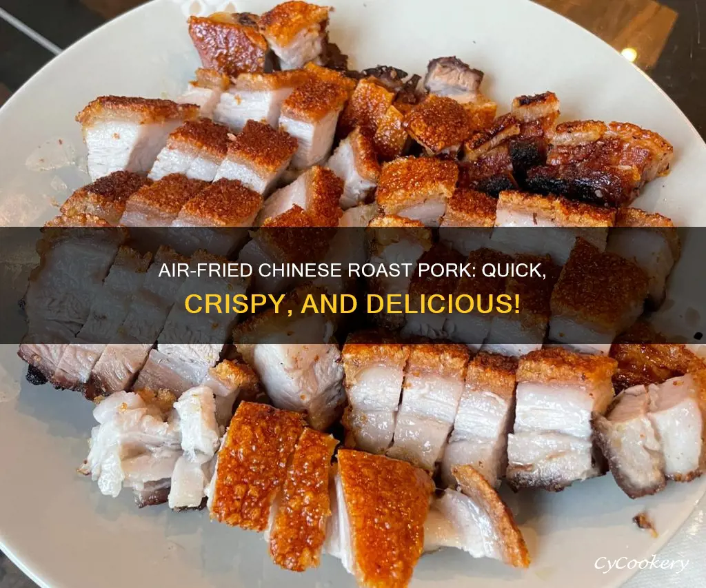 how to cook chinese roast pork in air fryer