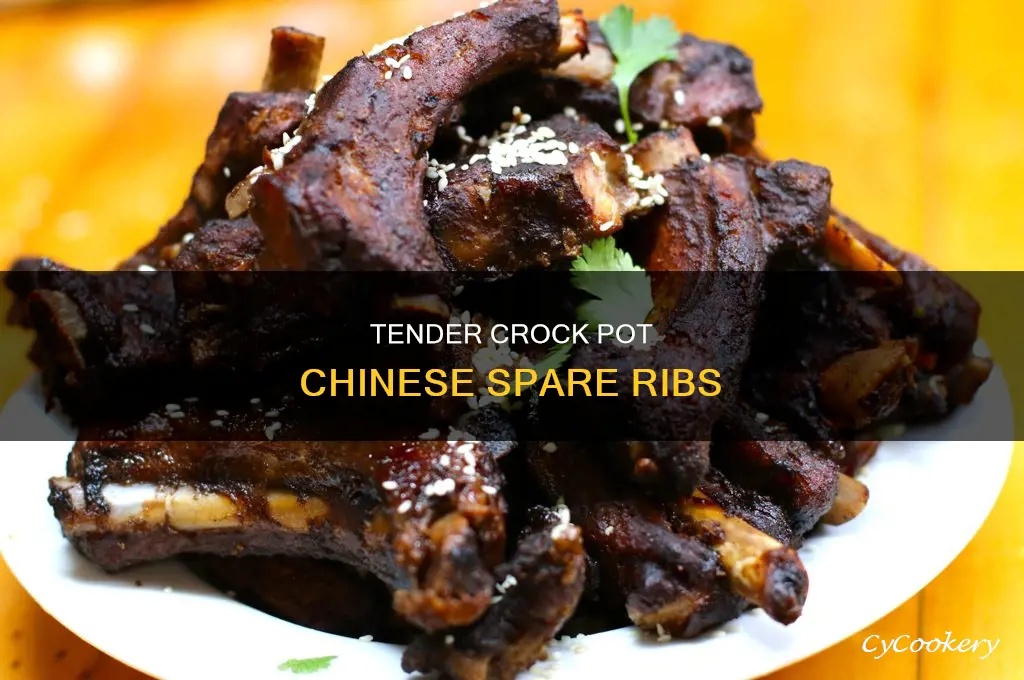 how to cook chinese spare ribs in crock pot