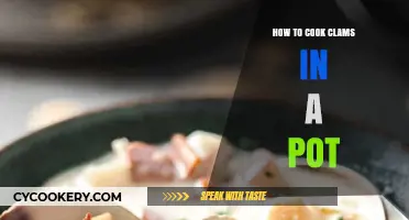 Clams 101: Cooking Clams in a Pot