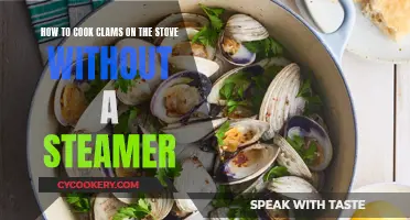 Stove-top Clam Cooking: No Steamer, No Problem!