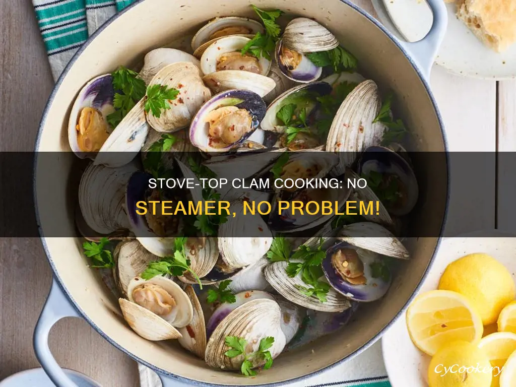 how to cook clams on the stove without a steamer