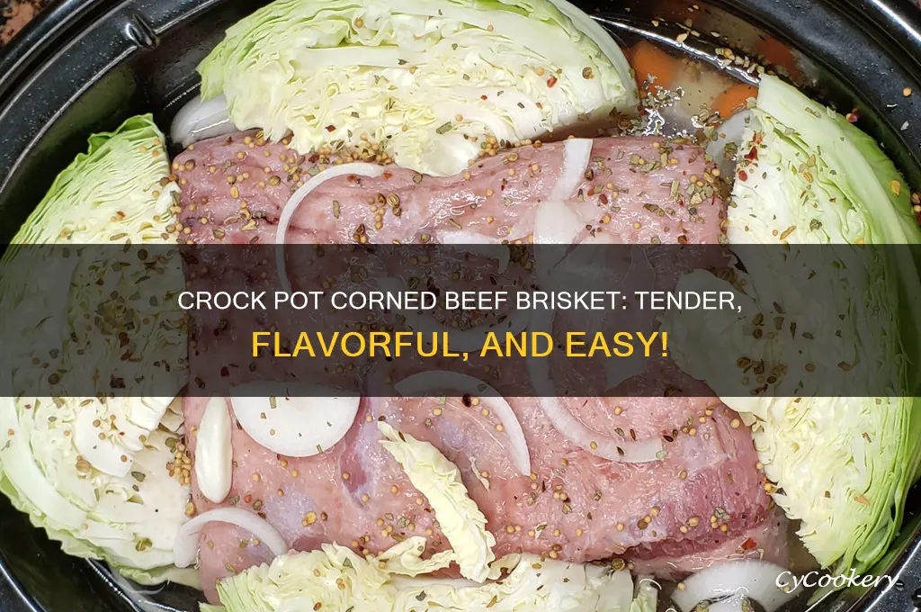 how to cook corn beef brisket in crock pot