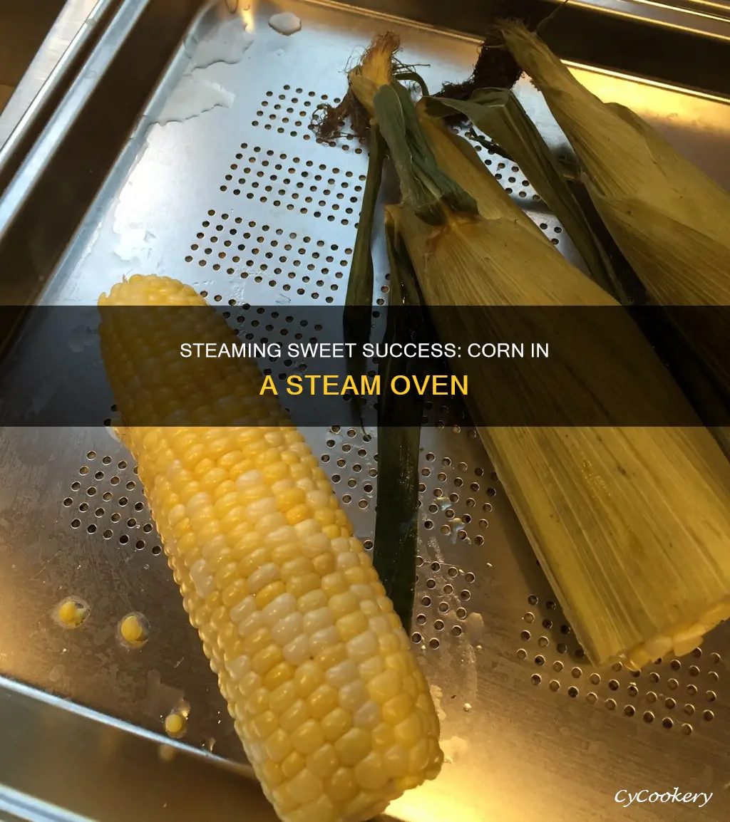 how to cook corn in a steam oven