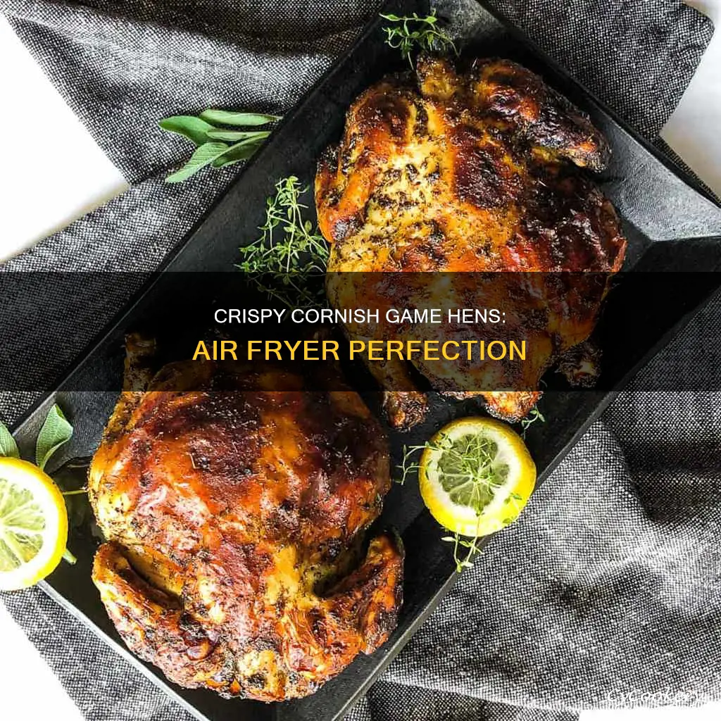 how to cook cornish game hen in air fryer