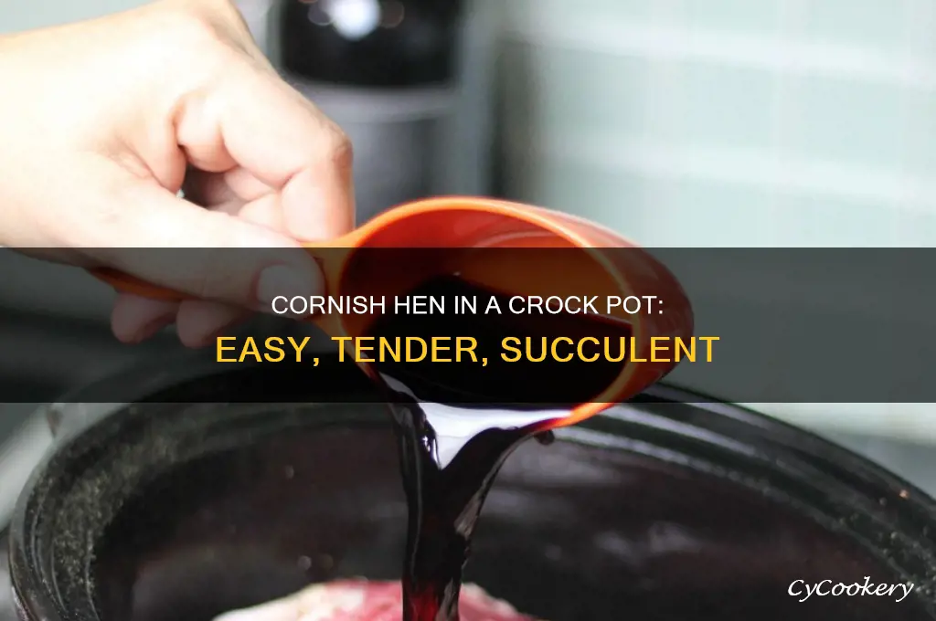 how to cook cornish hen in a crock pot