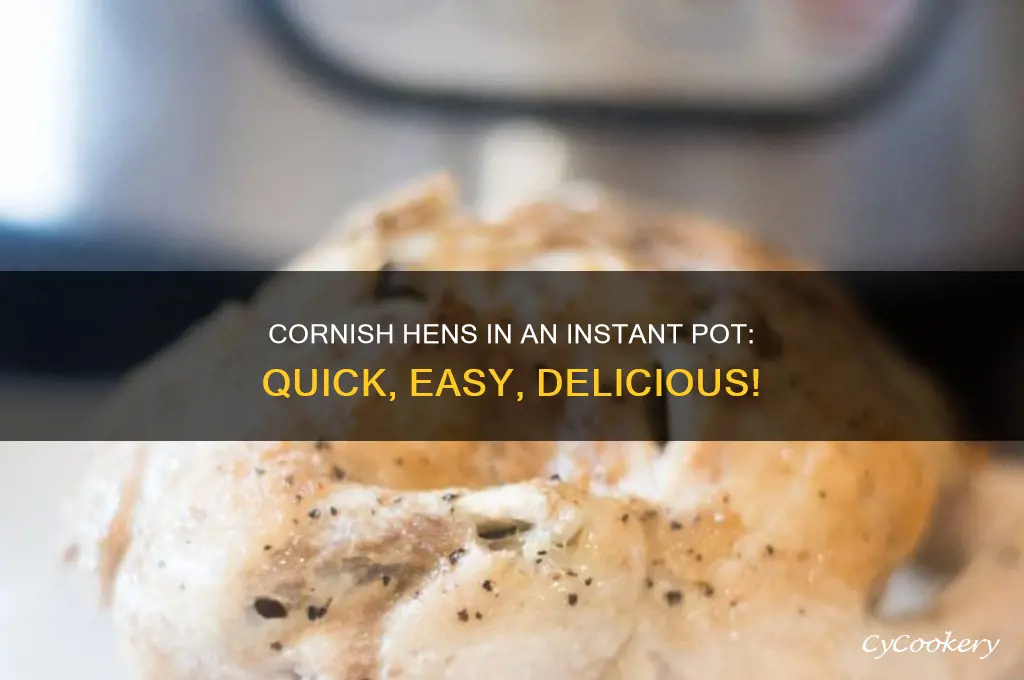 how to cook cornish hens instent pot