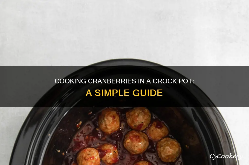 how to cook cranberries in a crock pot