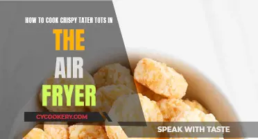 Crispy Tater Tot Perfection: Air Fryer Mastery