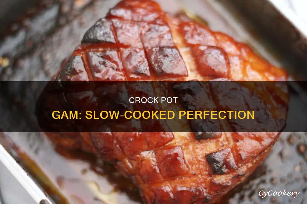 how to cook crock pot gam